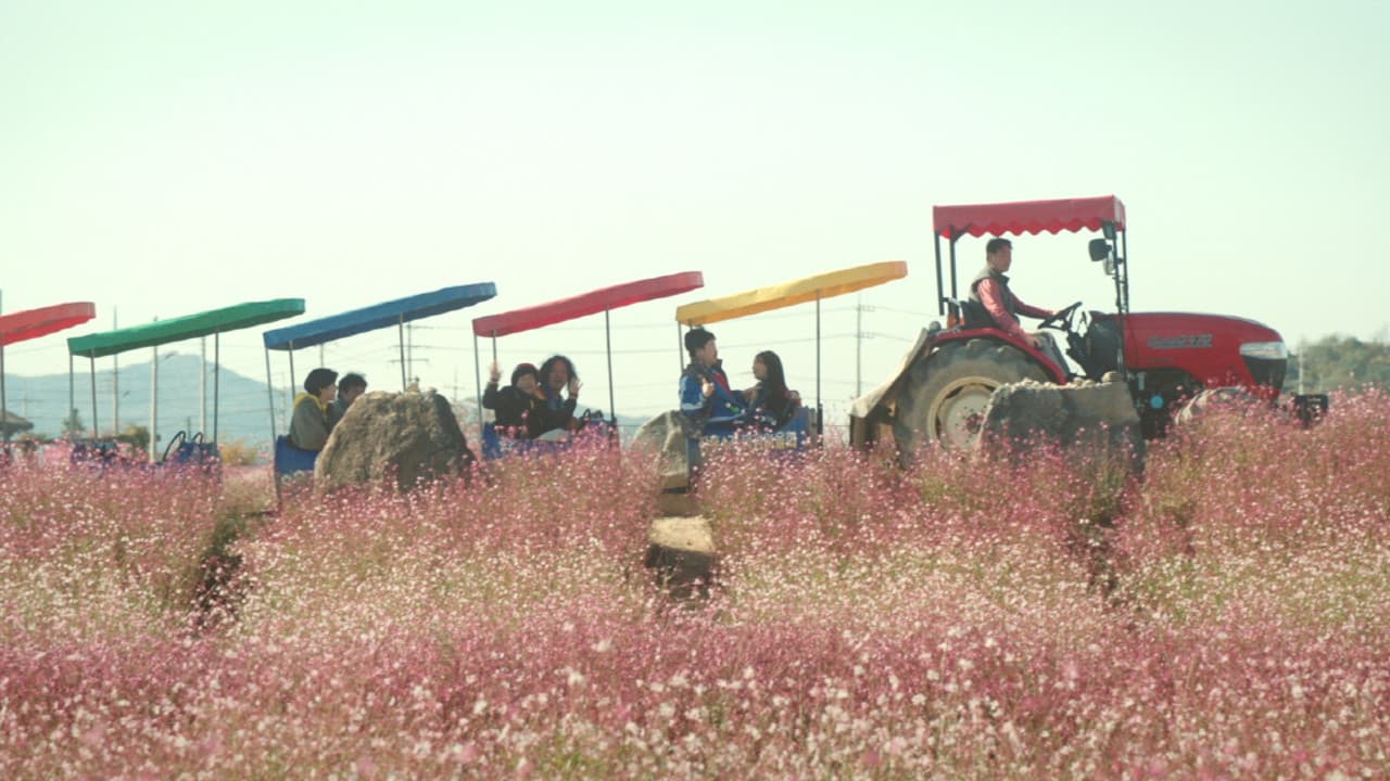 세하별