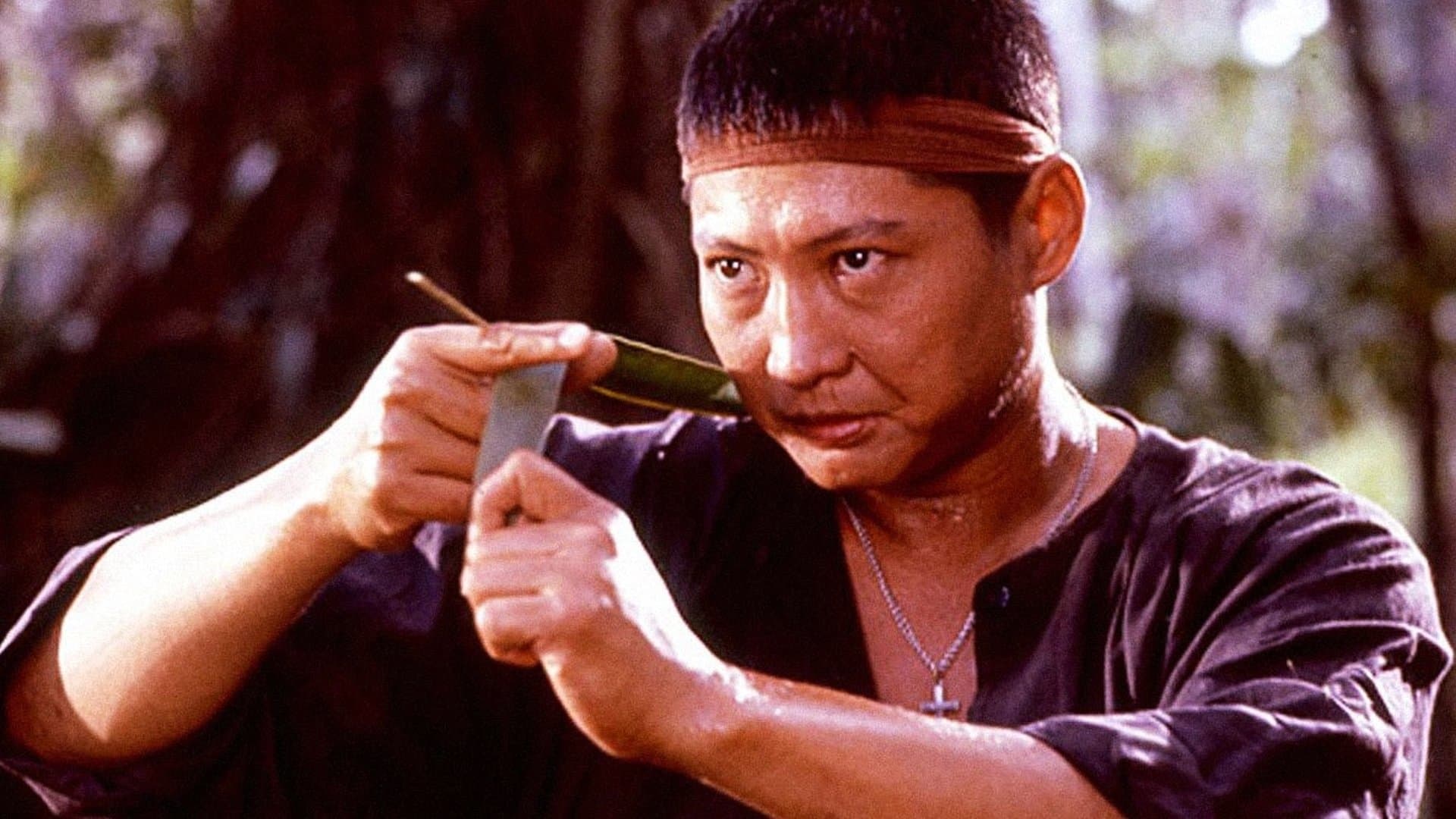 Phi Ưng Phương Đông