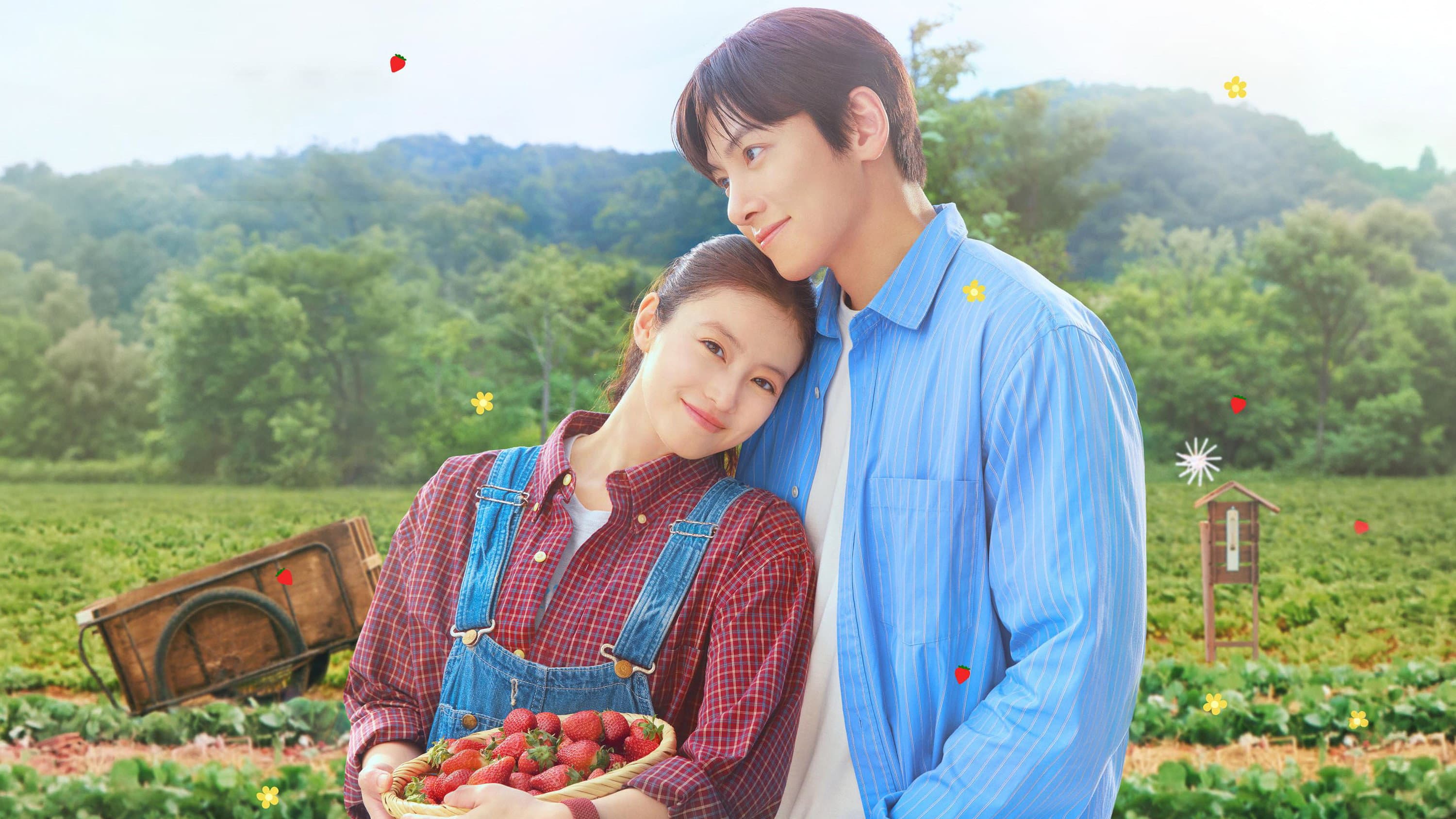 Chuyện Tình Mùa Dâu