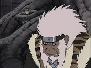 Không cân sức! Trận chiến đẳng cấp Hokage!