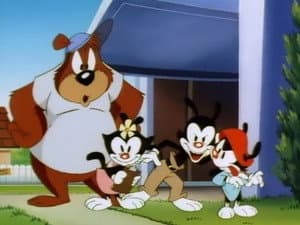 Episode 25