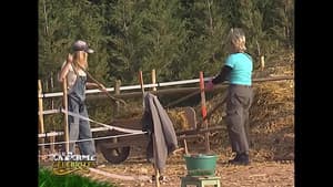 Episode 22