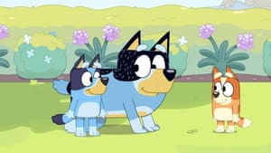 Episode 12