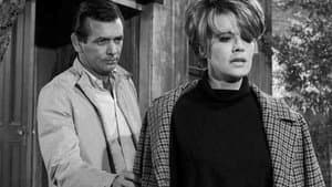 Episode 15