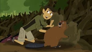 Episode 8