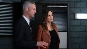 Episode 12