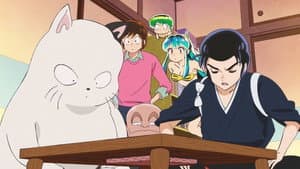 Tình Yêu Bên Kotatsu / Lum Hóa Thành Bò / Nỗi Buồn Thăm Nhà: Phiên Bản Xa Hoa Nhà Mendo