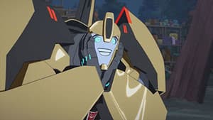 Episode 11