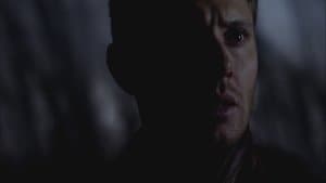 Episode 23