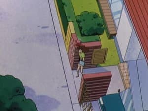 Episode 255