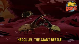 Episode 16