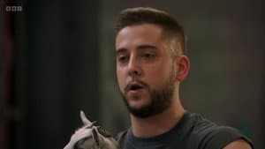 Episode 12