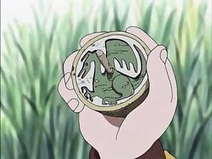 Đấu Tay Đôi: Zoro Và Erik