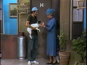 Episode 35