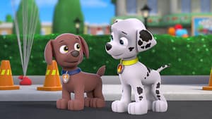 Episode 42