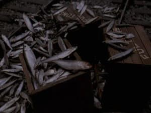 Episode 24