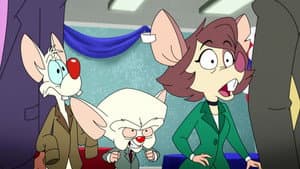 Episode 24