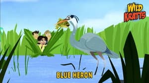 Episode 11