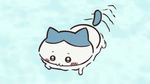 Episode 27