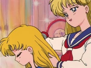 Episode 36