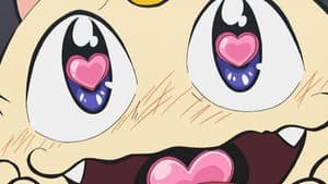 Episode 22