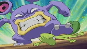 Episode 26