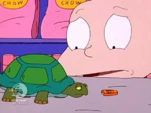 Episode 23