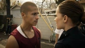 Episode 17