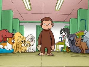 Episode 17