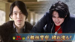 Episode 25
