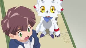 Episode 39
