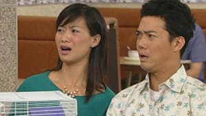Episode 362
