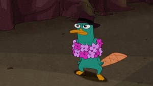 Phineas Và Ferb Kỳ Nghỉ Ở Hawaii