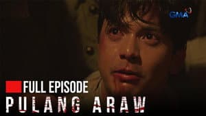 Episode 41