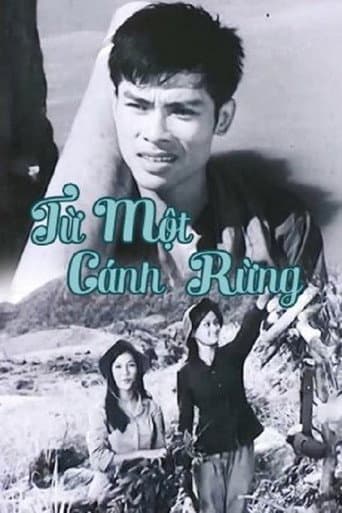 Từ Một Cánh Rừng