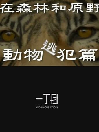 在森林和原野-動物逃犯篇