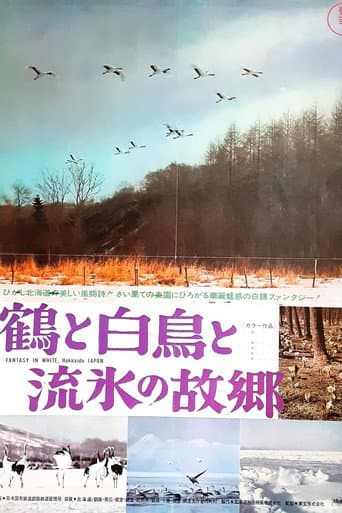 鶴と白鳥と流氷の故郷