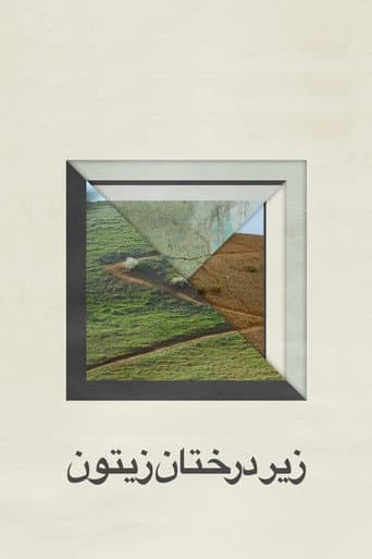 زیر درختان زیتون