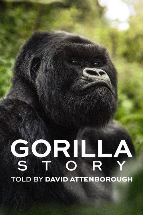 Câu chuyện khỉ đột: Qua lời kể của David Attenborough