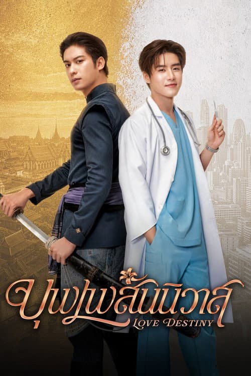 Love Destiny: Nhân Duyên Tiền Định