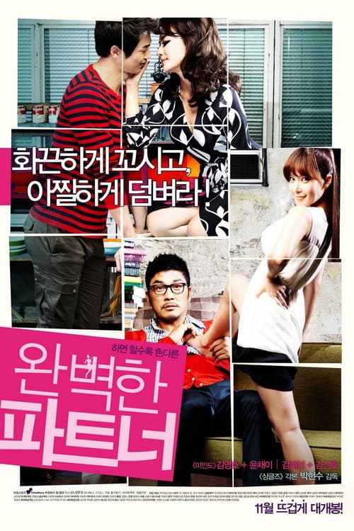 완벽한 파트너
