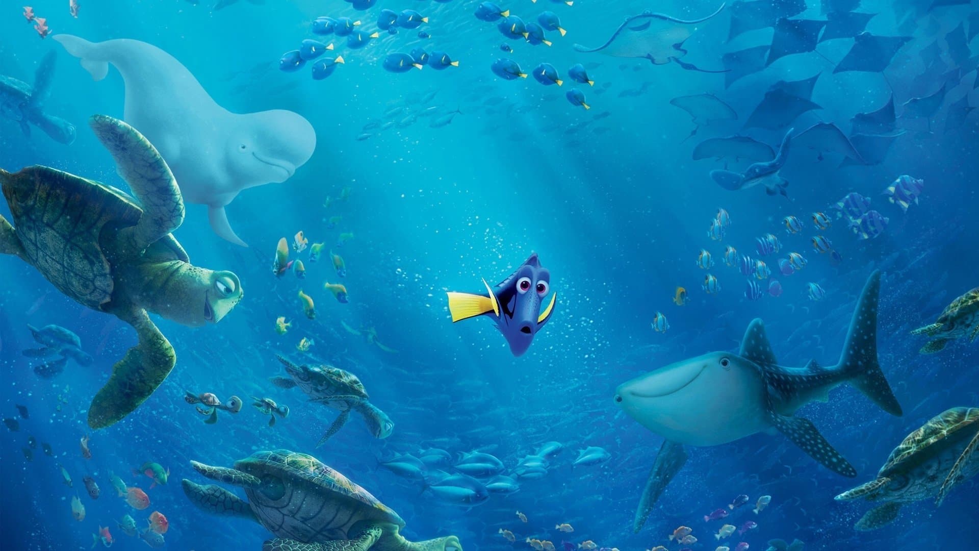 Đi Tìm Dory