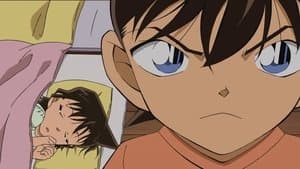 Hồi ức lớp hoa anh đào (Shinichi BOY)