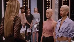 Episode 11