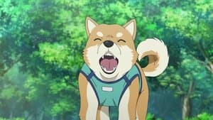 Chú chó cưng Pan là một chú chó ngoan