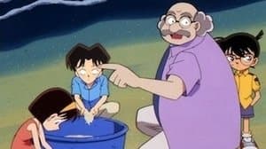 Bí ẩn trong tấm lưới (Phần cuối)