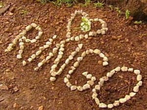 Episode 197